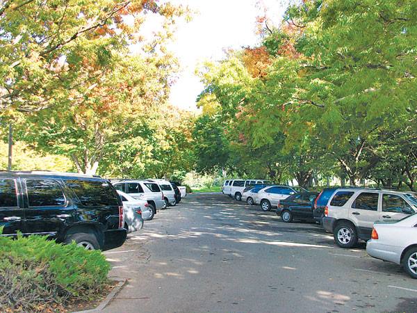 Free Parking in Kathmandu Valley from Friday